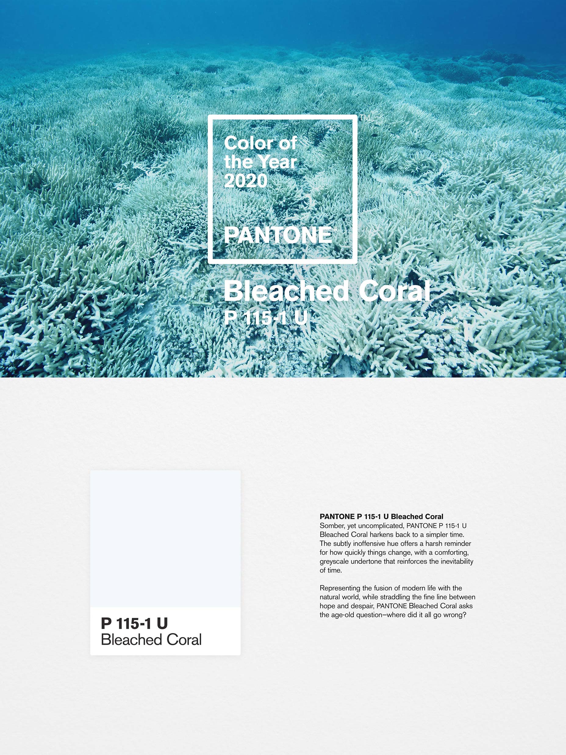 bleachedcoral-satarical-image satarical-color-of-the-year