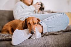 GettyImages-1127420602 dog-sleeping-on-humans-foot