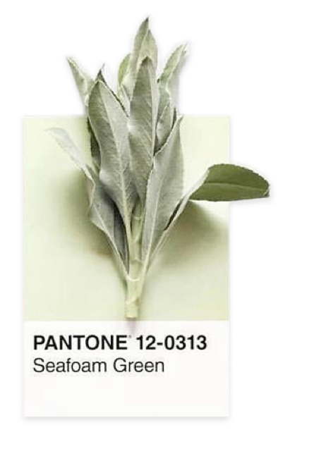 seafoam-green-pantone-color