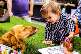 golden-retriever-licking-toddler